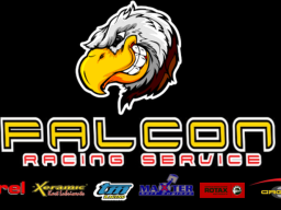 Falcon ; un nouveau concurrent de poids en Superkart